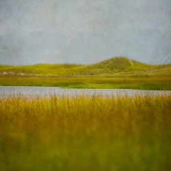 Sunken Meadow