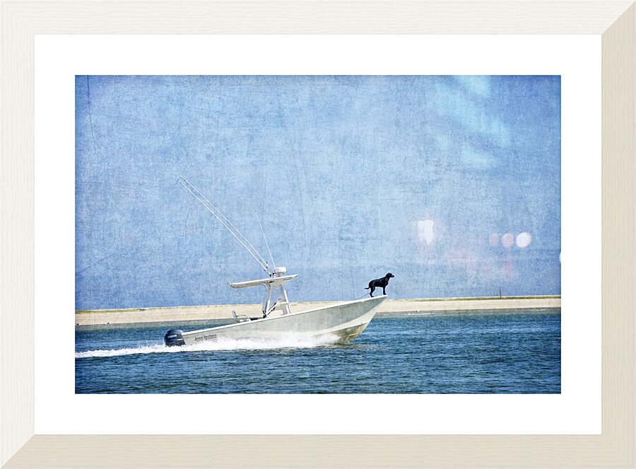 Black Dog  Blue Water Frame print