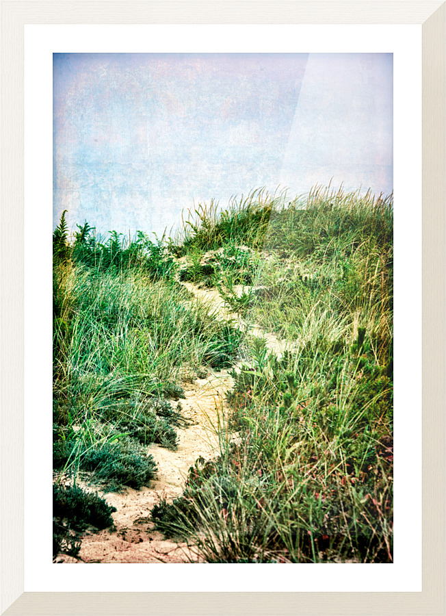 Dune Path  Framed Print Print