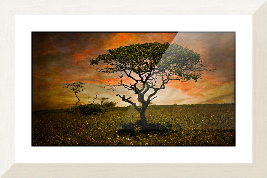 Serengeti Nantucket Frame print