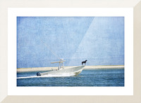 Black Dog  Blue Water Picture Frame print