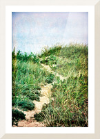 Dune Path Picture Frame print