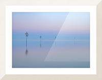 Harbor Reflections  Picture Frame print
