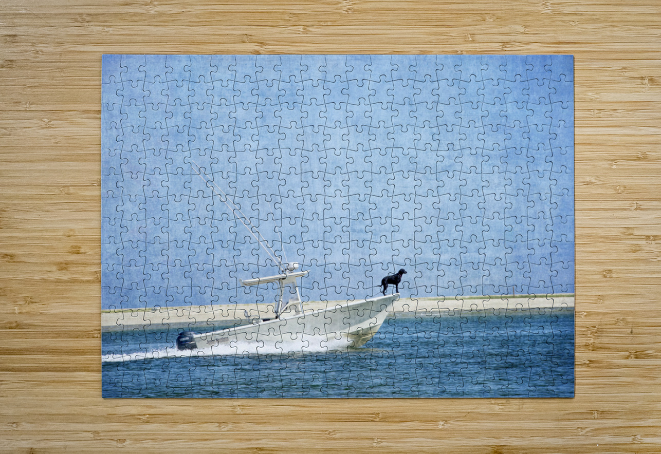 Black Dog  Blue Water  HD Metal print with Floating Frame on Back