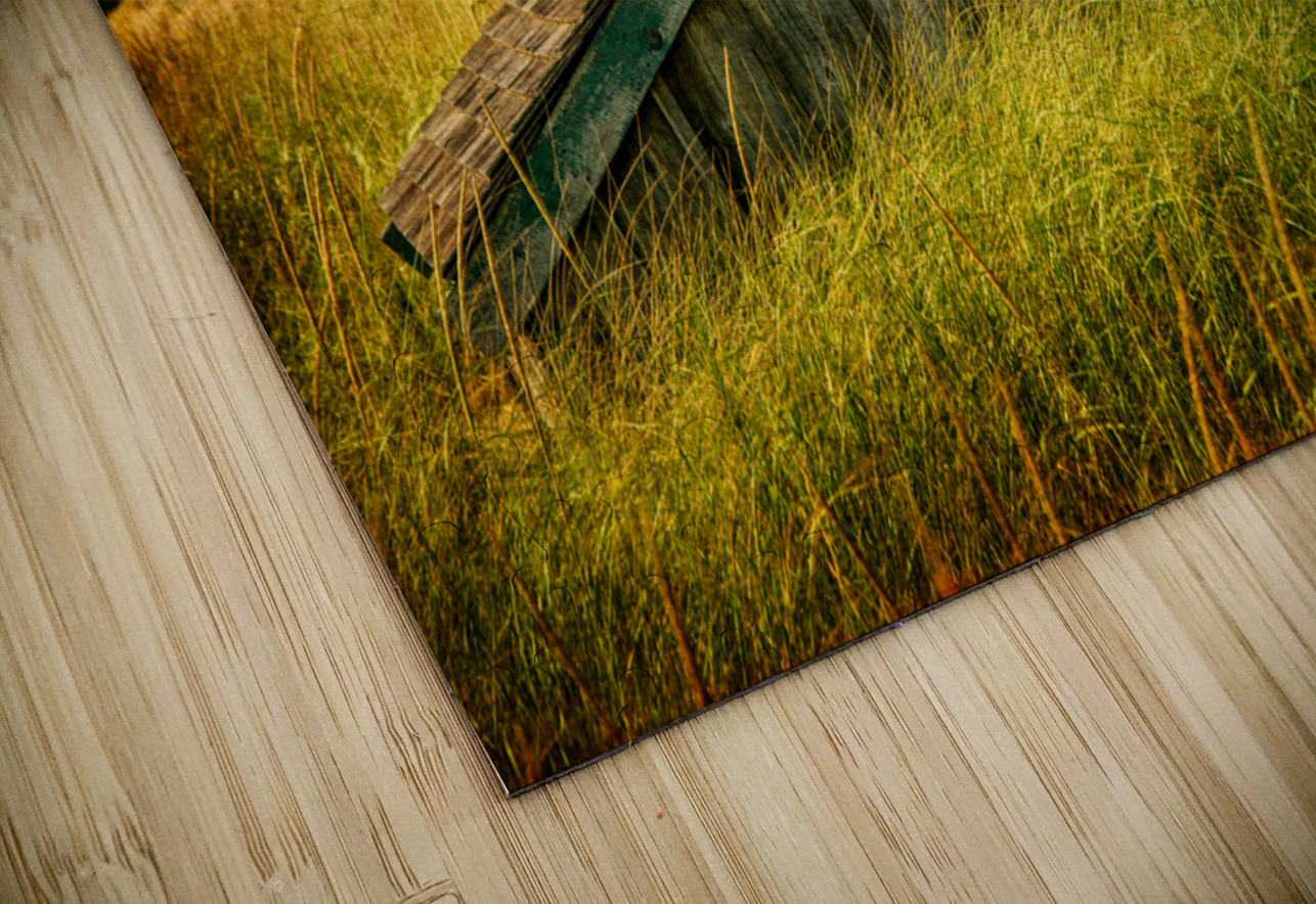 Head Of The Meadow  HD Sublimation Metal print