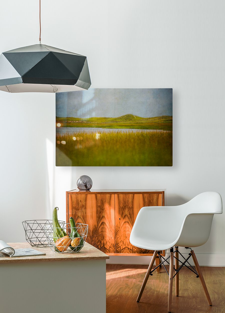 Sunken Meadow  HD Metal print with Floating Frame on Back