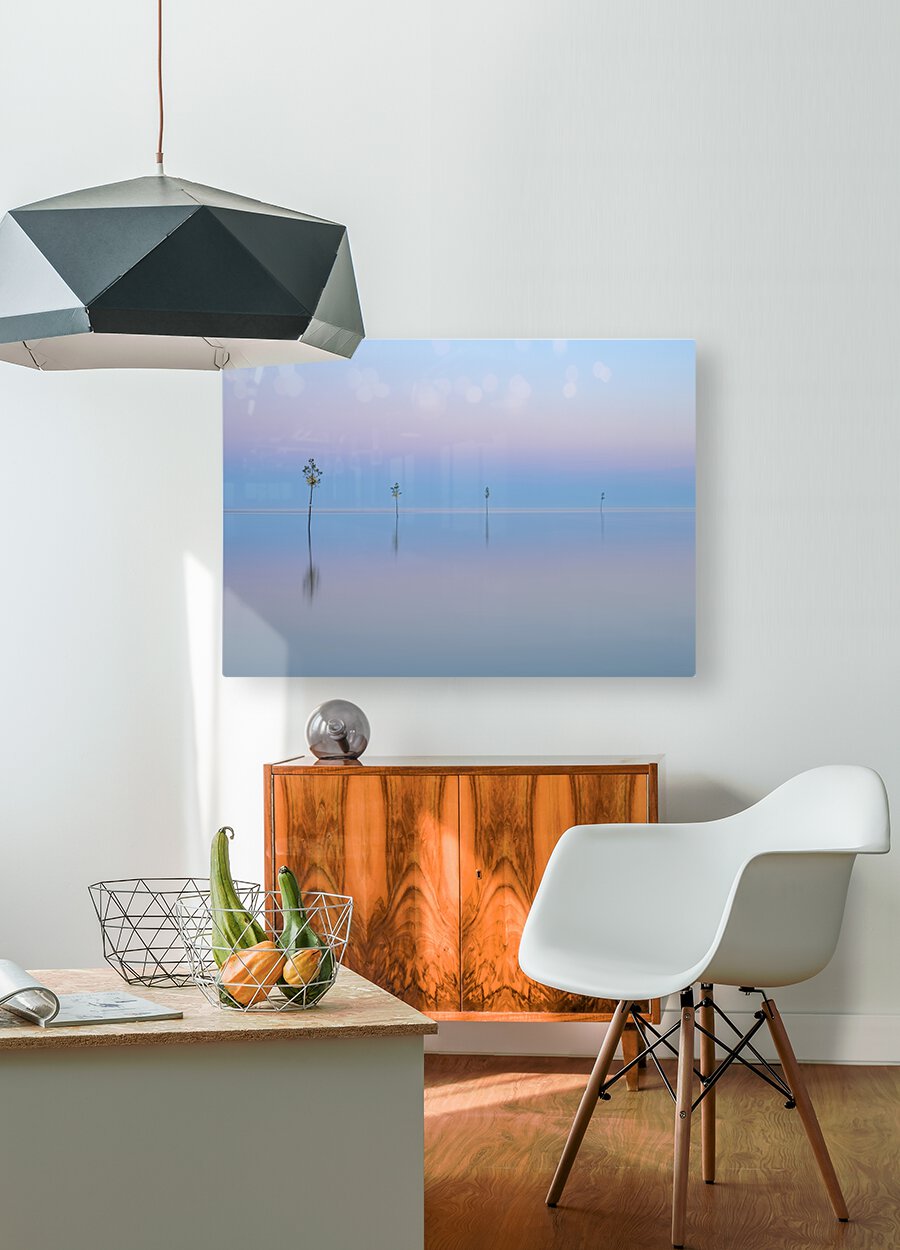 Harbor Reflections   HD Metal print with Floating Frame on Back