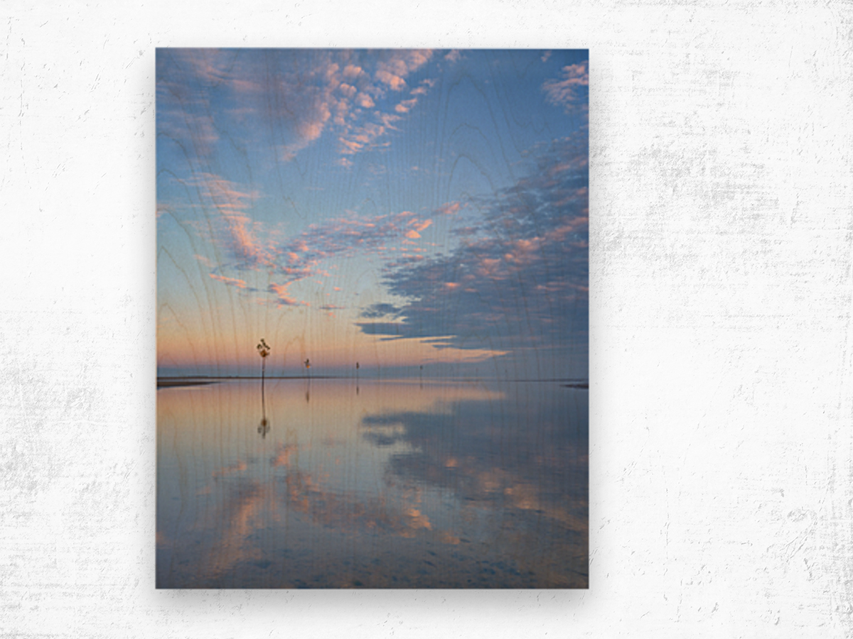 Cotton Candy Skies  Wood print